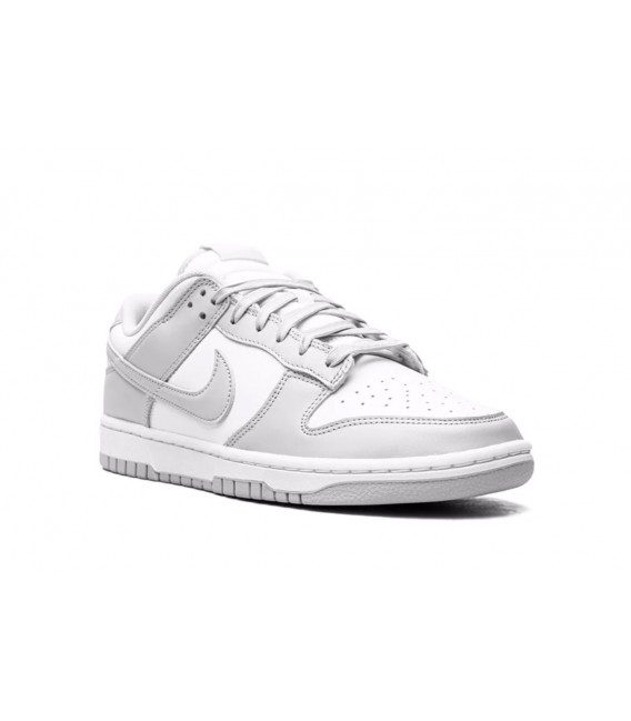 Nike Dunk Low Retro Scarpe da ginnasticaUomo