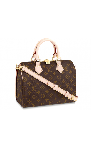 SPEEDY 25 MIT SCHULTERRIEMEN Louis Vuitton Bag Women Women