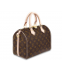 SPEEDY 25 MIT SCHULTERRIEMEN Louis Vuitton Bag Women Women