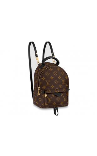 PALM SPRINGS MINI Louis Vuitton Bag Women Women