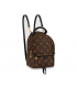 PALM SPRINGS MINI Louis Vuitton Bag Women Women