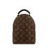 PALM SPRINGS MINI Louis Vuitton Bag Women Women